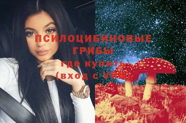 не бодяженный Белокуриха