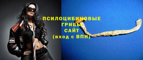 соль ск Белоозёрский