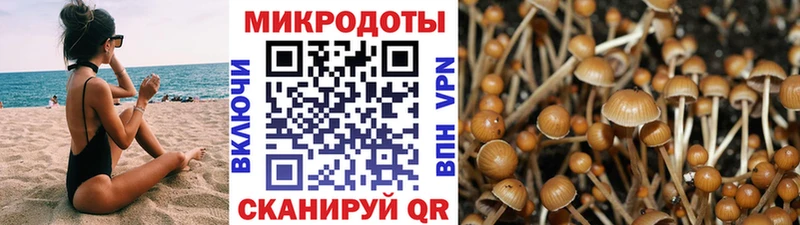 Псилоцибиновые грибы мицелий Севск